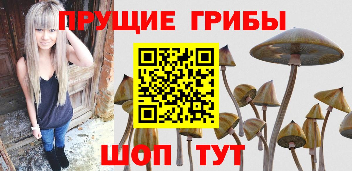 Вышний Волочёк  наркота  Вход с VPN  Галлюциногенные грибы мухоморы 