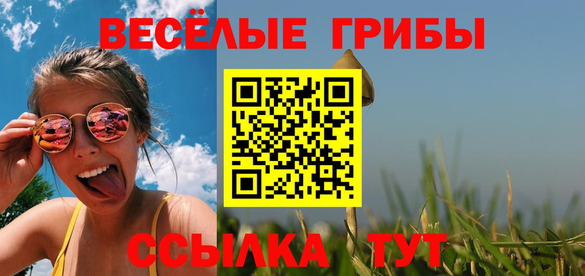 Галлюциногенные грибы Psilocybine cubensis Вышний Волочёк